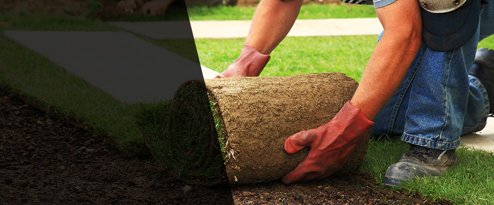 Tracy City Landscapers